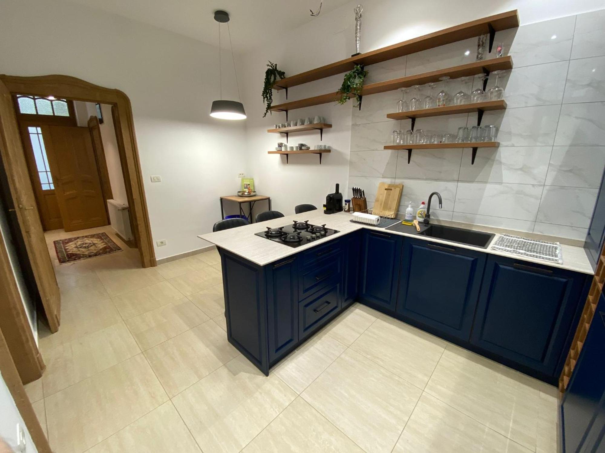 טימישוארה Ultra-Central Apartment In The Loffler Palace מראה חיצוני תמונה