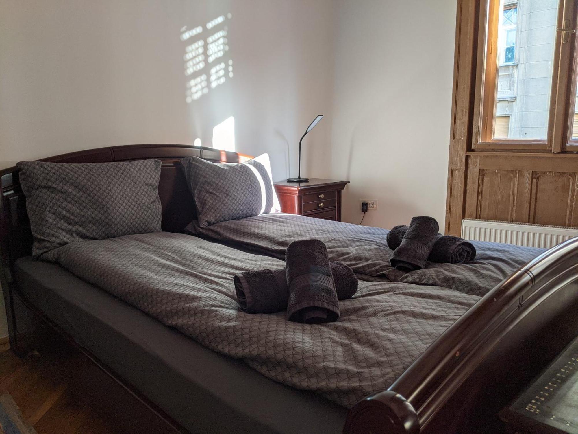 טימישוארה Ultra-Central Apartment In The Loffler Palace מראה חיצוני תמונה
